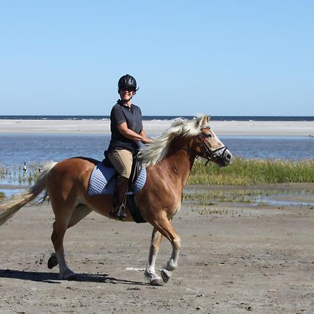 Naar Zee Op Ameland بورين المظهر الخارجي الصورة
